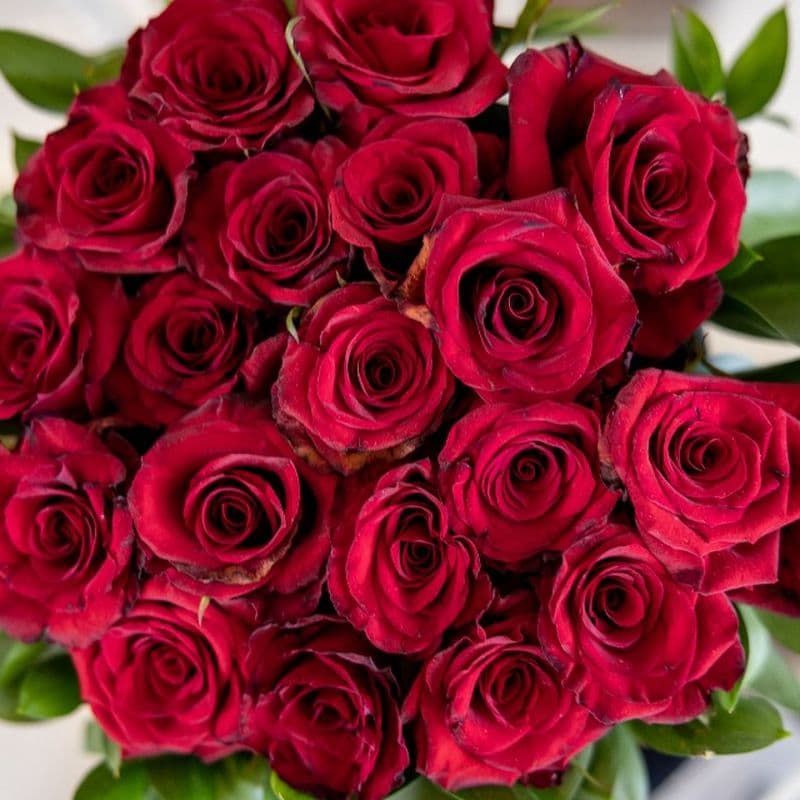 Flower Bouquets