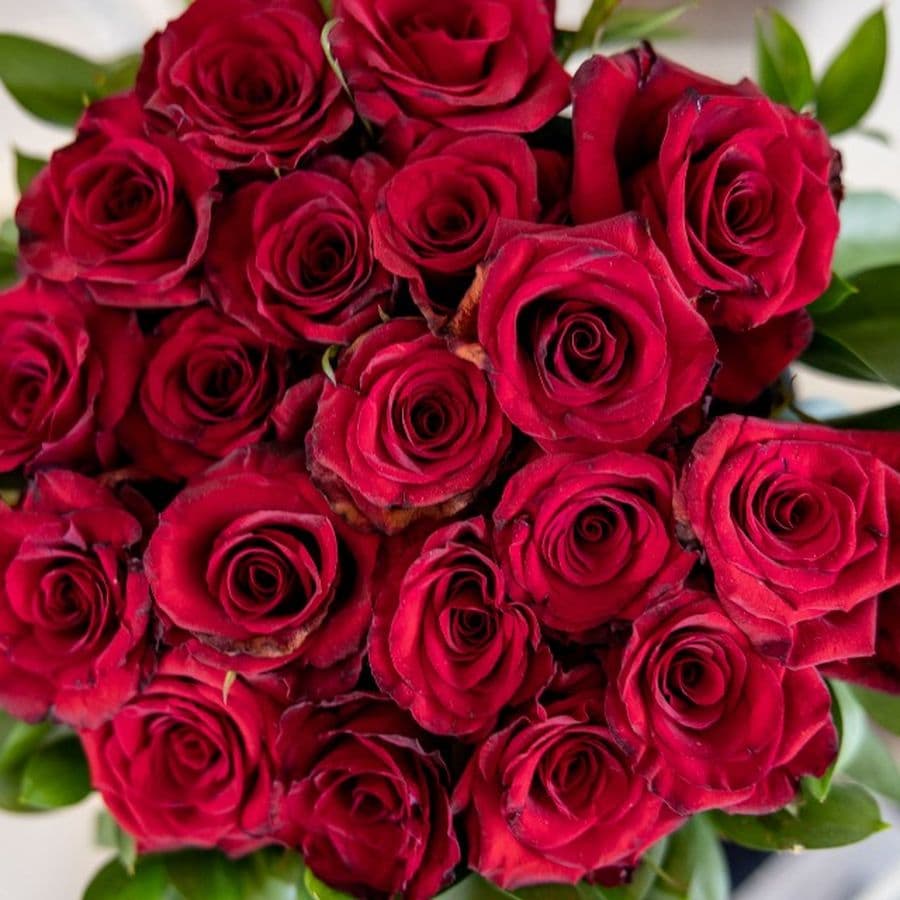 Classic Red Roses Bouquet